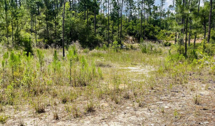 Chaco Circle, Alford, FL 32420 - 0 Beds, 0 Bath