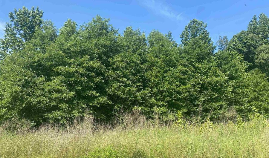 Lot 24 and 25 Cinel Loop, Austin, AR 72007 - 0 Beds, 0 Bath