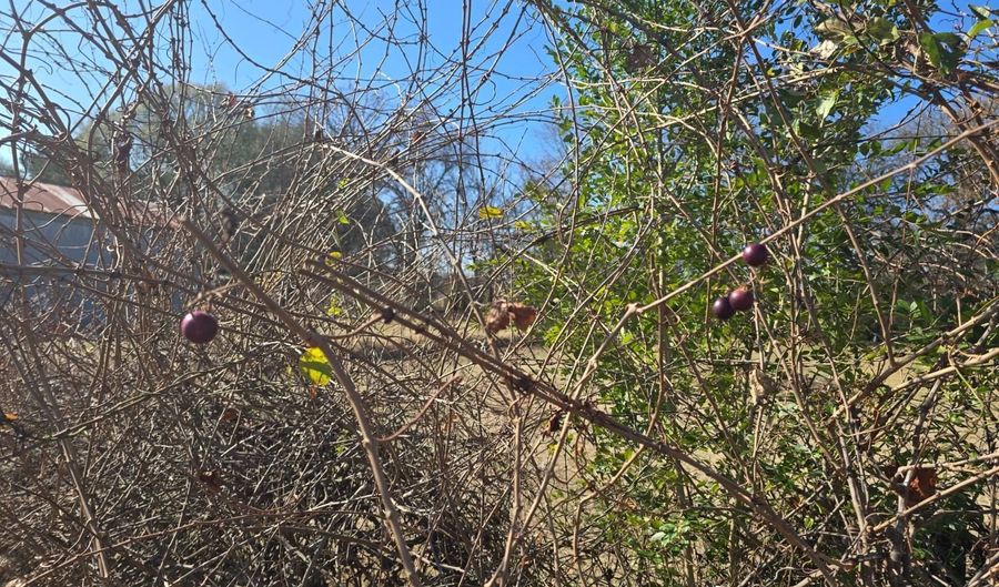 416284 E 1950 Rd, Antlers, OK 74523 - 4 Beds, 2 Bath