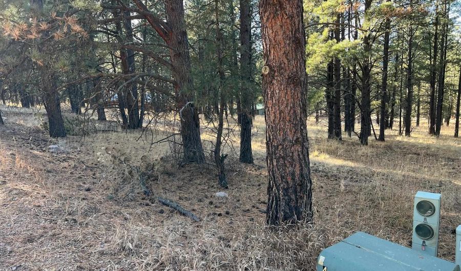 Jackson Hole lot 14, Angel Fire, NM 87710 - 0 Beds, 0 Bath