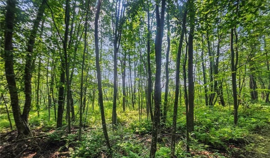 28017 303rd Pl, Aitkin, MN 56431 - 0 Beds, 0 Bath