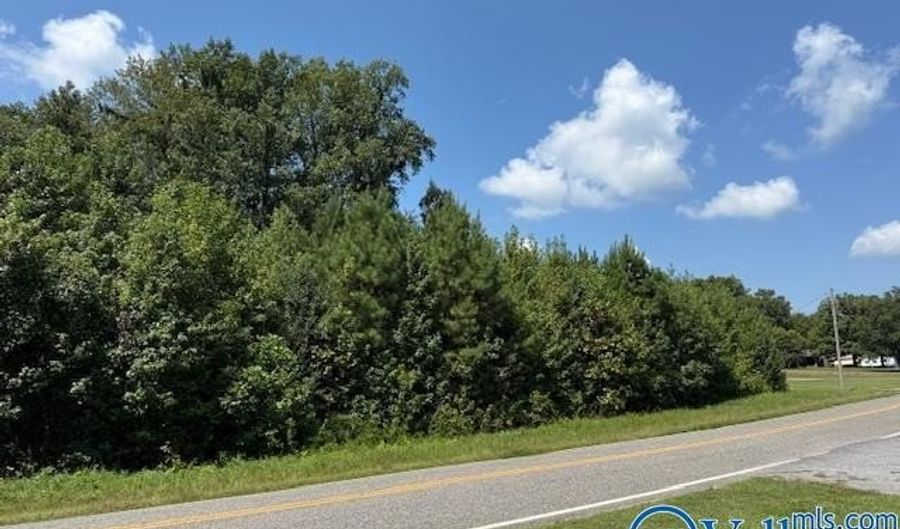 Tract 2 Of 2 Flanagan Road, Athens, AL 35614 - 0 Beds, 0 Bath