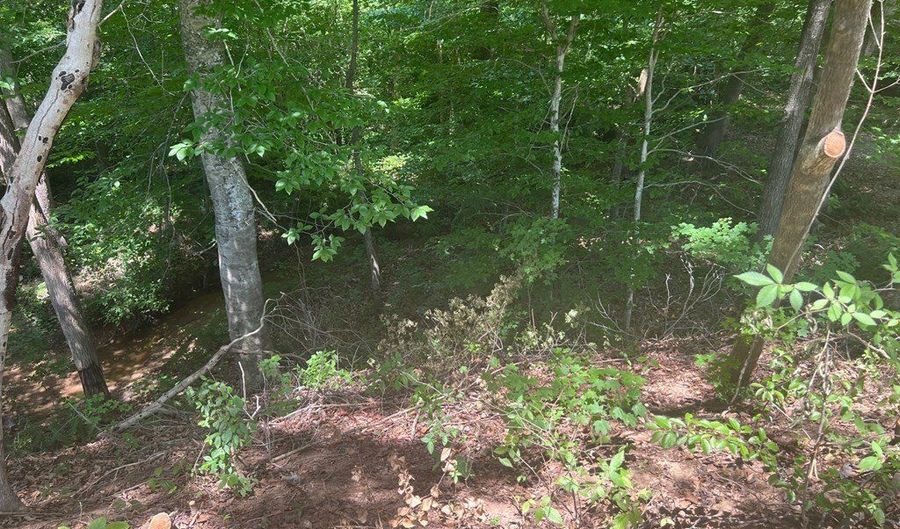 Hanover Road, Abbeville, SC 29620 - 0 Beds, 0 Bath