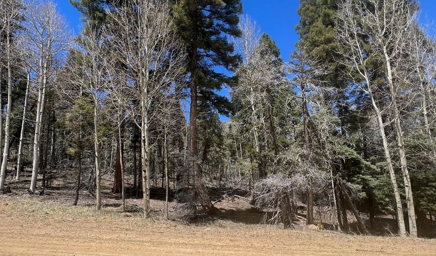 Lot 54 Vermejo Cir, Angel Fire, NM 87710 - 0 Beds, 0 Bath