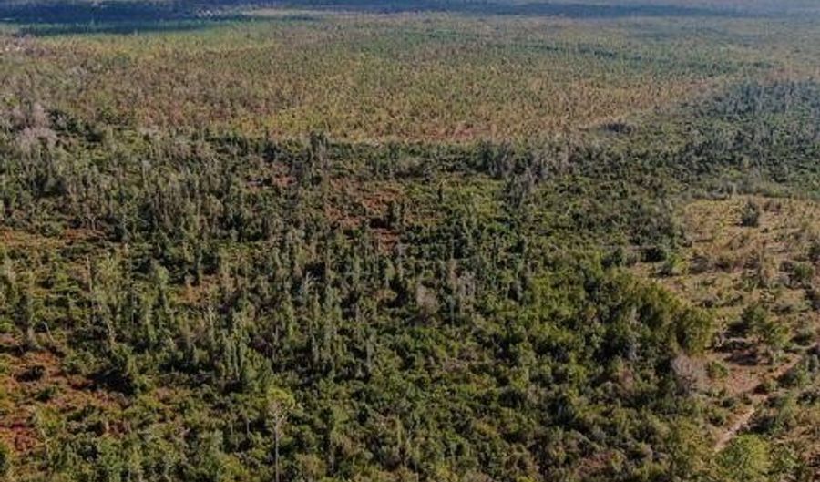 21526 NW Isoletta Ln, Altha, FL 32421 - 0 Beds, 0 Bath