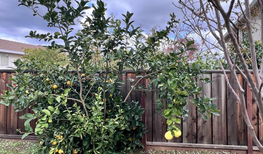 1824 Harding Ct, Antioch, CA 94509 - 3 Beds, 2 Bath