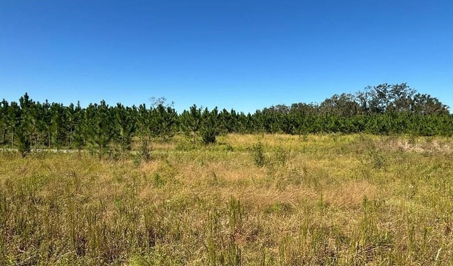 Lot 2 50th Ave, Bell, FL 32619 - 0 Beds, 0 Bath