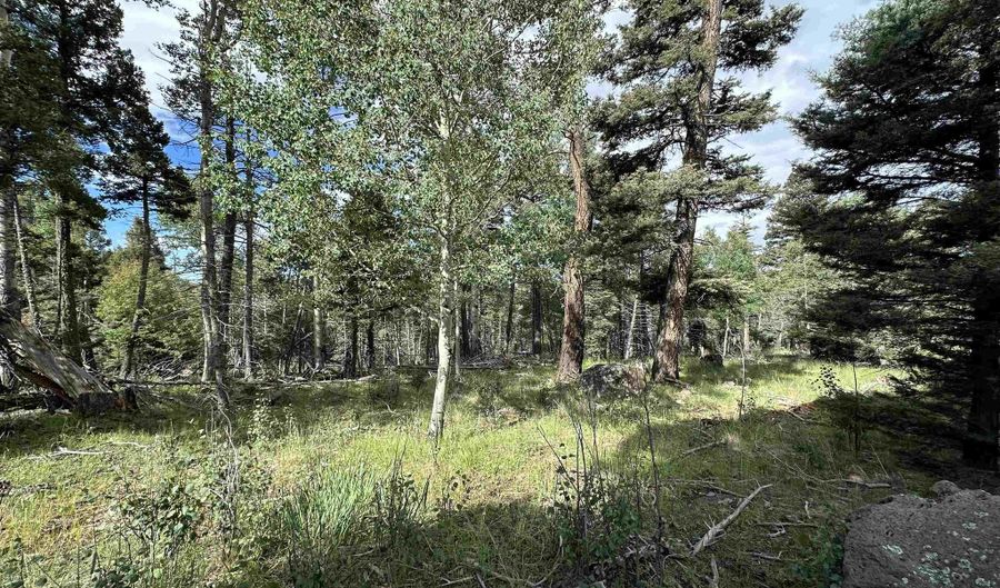 Lot 1437 Cheerful Way, Angel Fire, NM 87710 - 0 Beds, 0 Bath