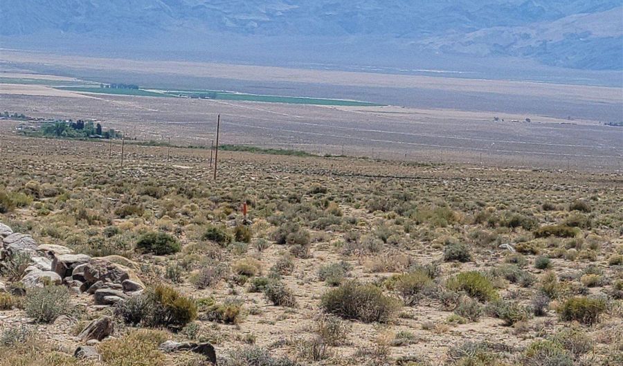 810 Chiatovich Creek Road Lot 8A1, Dyer, NV 89010 - 0 Beds, 0 Bath