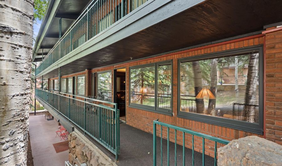 731 S Mill St 2C, Aspen, CO 81611 - 2 Beds, 2 Bath