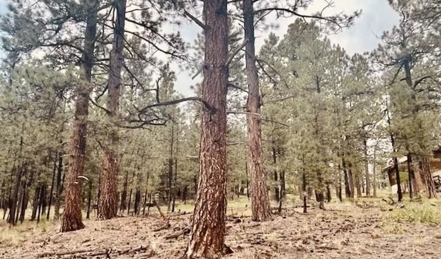 Lot 12 Sawmill Way Loggers Ridge, Angel Fire, NM 87710 - 0 Beds, 0 Bath