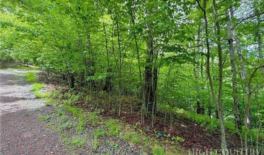 Grandfather Watch Lane, Banner Elk, NC 28604 - 0 Beds, 0 Bath