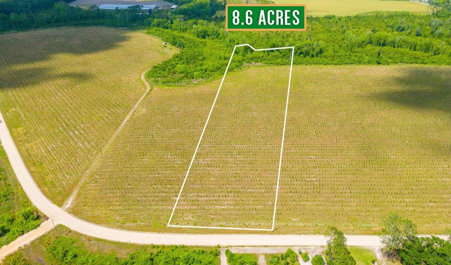 Tract 10 Sellers, Baxley, GA 31513 - 0 Beds, 0 Bath