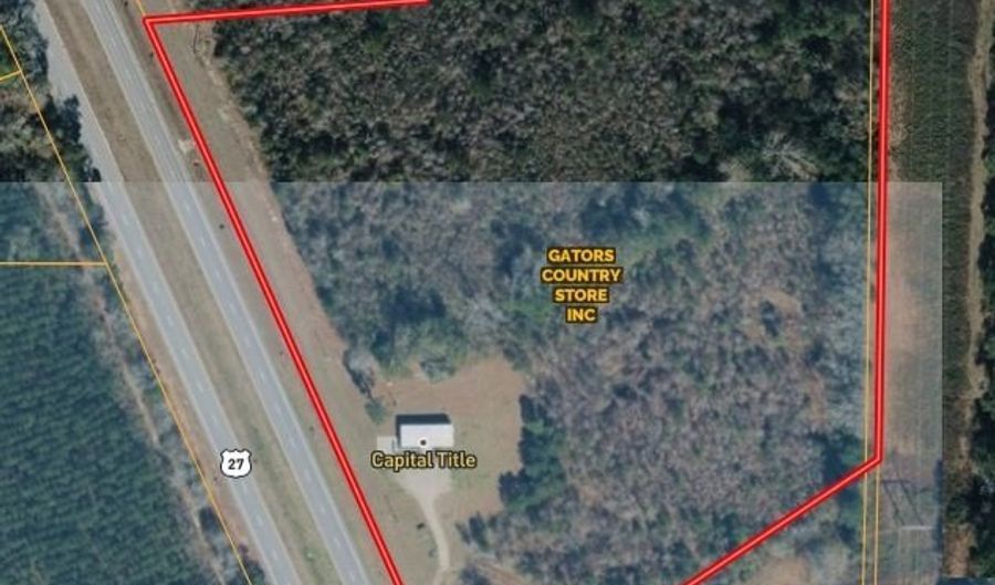 7821 Tallahassee Hwy 8.98+/- Acres, Attapulgus, GA 39815 - 0 Beds, 0 Bath