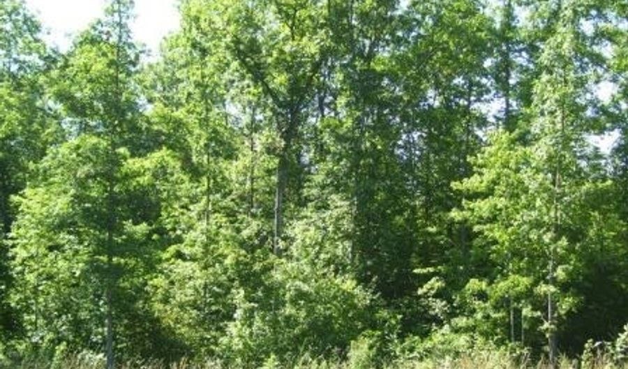 Lot 88 Parkstown Rd, Wilder, TN 38589 - 0 Beds, 0 Bath