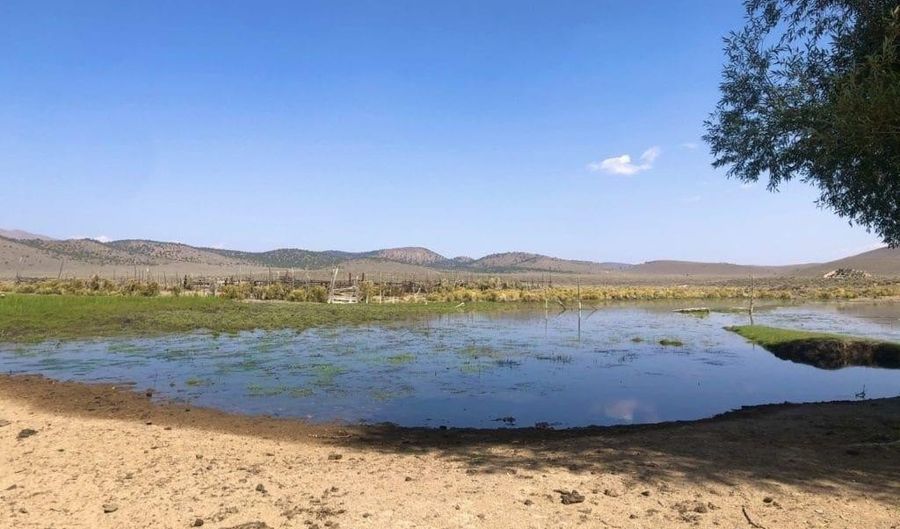 Superior Millsite Mine, Austin, NV 89820 - 0 Beds, 0 Bath