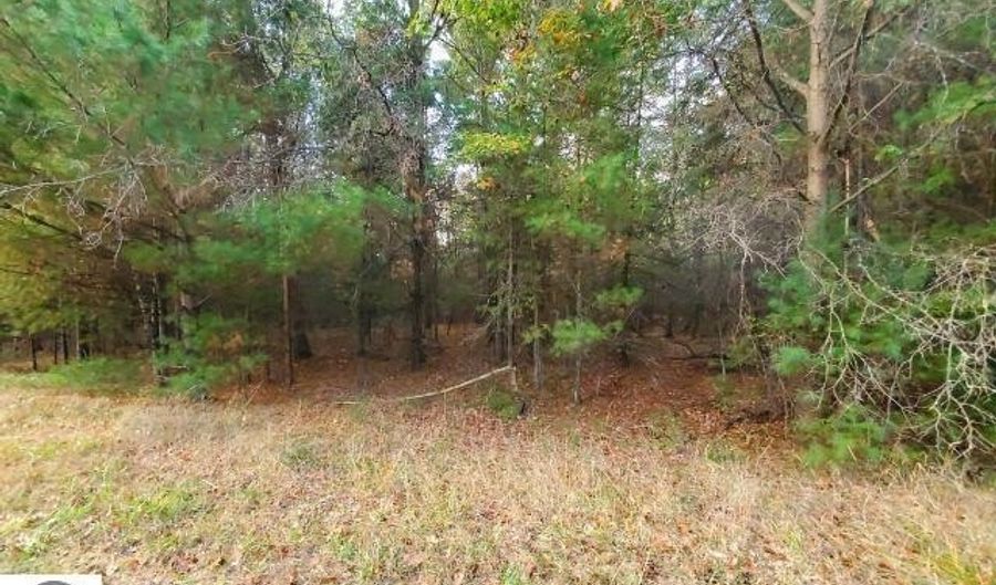 0 Buffalo Trl, Alger, MI 48610 - 0 Beds, 0 Bath