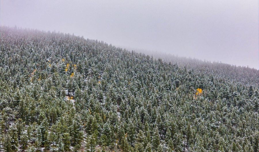 200 Severance Lodge Rd, Black Hawk, CO 80422 - 3 Beds, 4 Bath