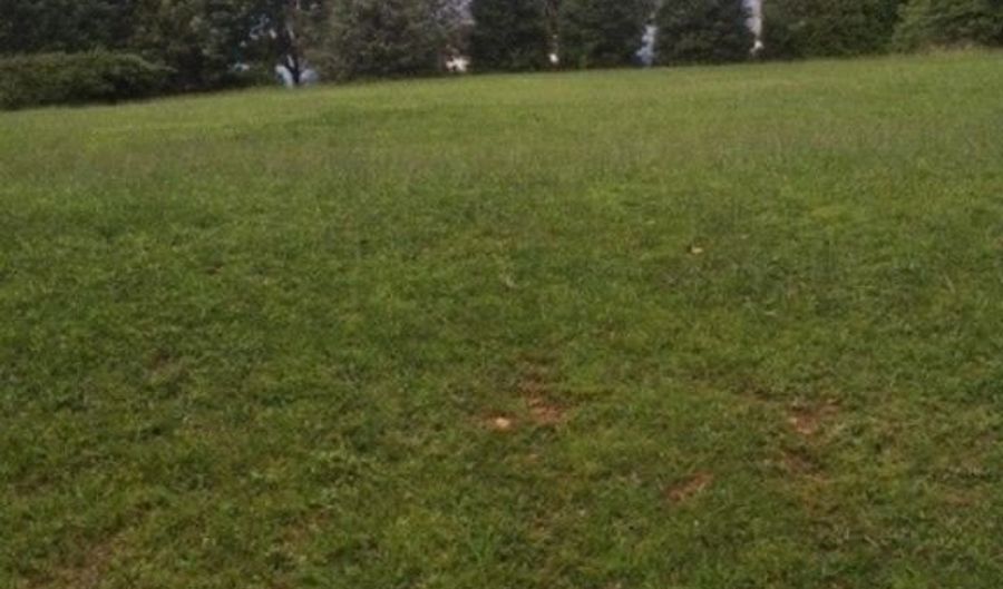 Murdock Road, Belton, SC 29627 - 0 Beds, 0 Bath