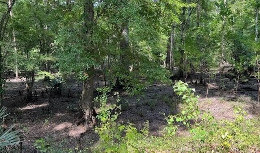 1373 Bridge St, Branchville, SC 29432 - 3 Beds, 0 Bath