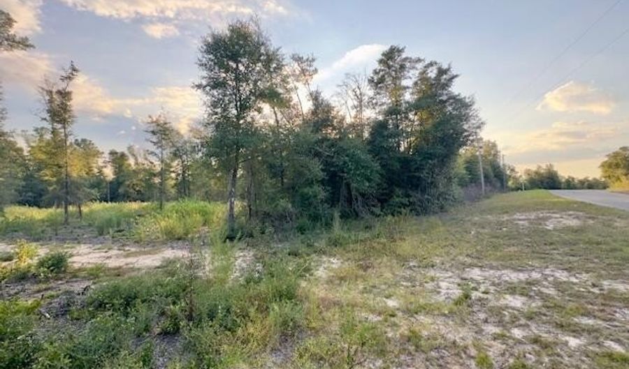 BLK 211 Vancouver Drive lot 21, Alford, FL 32420 - 0 Beds, 0 Bath