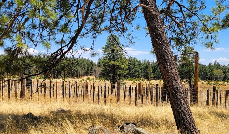 Tbd STONE CREEK RD CR 2117, Alpine, AZ 85920 - 0 Beds, 0 Bath