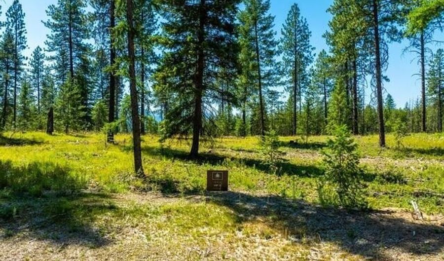 LT 4 BLK 1 WALLACE Lane, Blanchard, ID 83804 - 0 Beds, 0 Bath