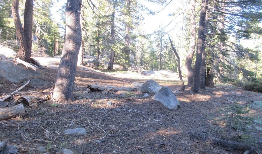 175 Silver Tip Dr, Bear Valley, CA 95223 - 0 Beds, 0 Bath