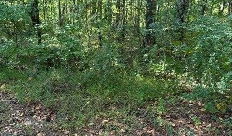 1089 Damascus, Ball Ground, GA 30107 - 0 Beds, 0 Bath