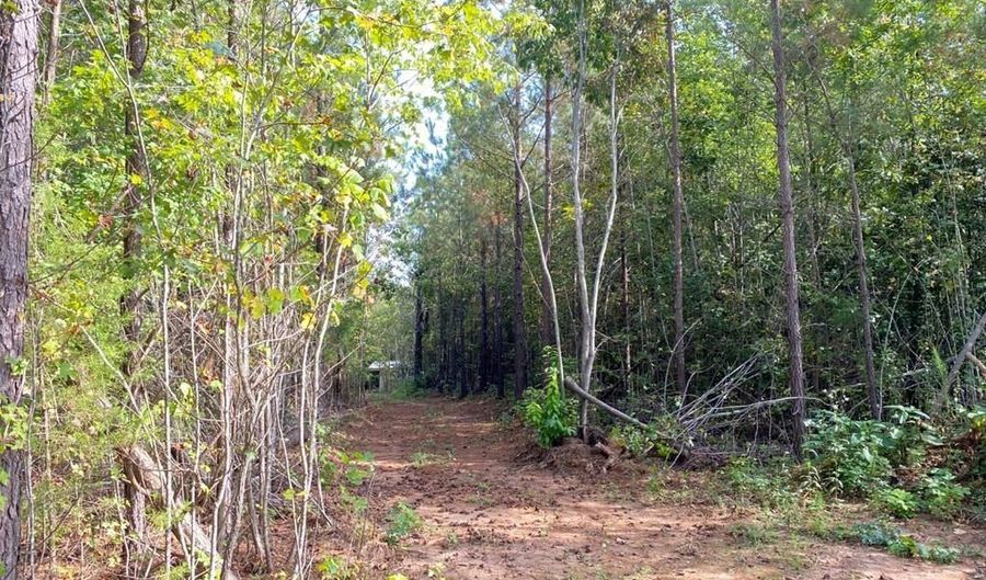 18 62 Ac Squirrell Hollow Rd, Alberta, VA 23821 - 0 Beds, 0 Bath