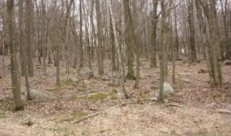 51 Birch, Blakeslee, PA 18610 - 0 Beds, 0 Bath