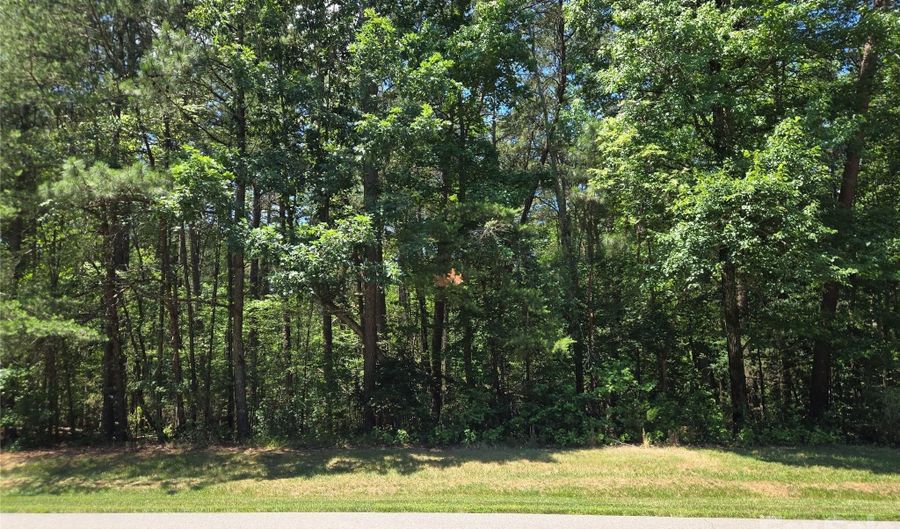 145 Badin View Dr 69, Badin Lake, NC 28127 - 0 Beds, 0 Bath