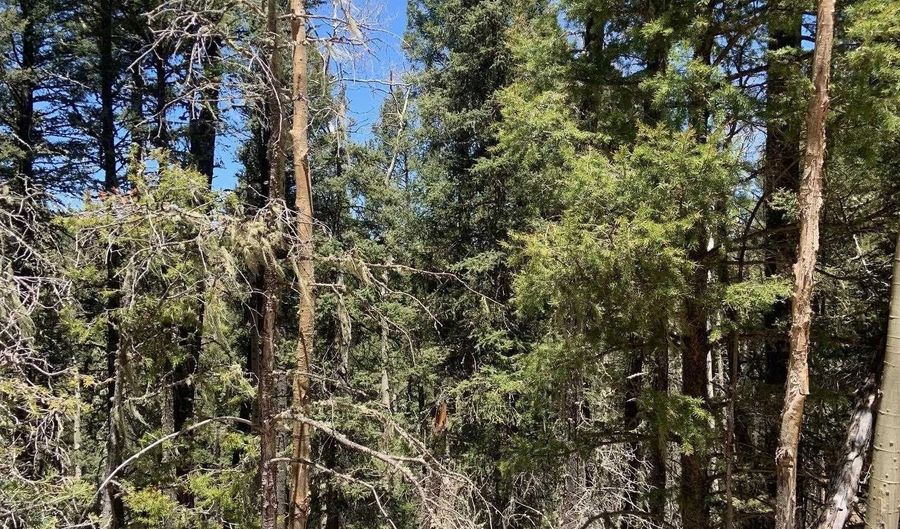 Lot 823 San Felipe Circle, Angel Fire, NM 87710 - 0 Beds, 0 Bath