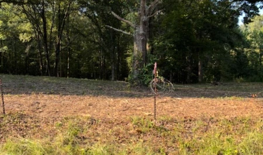 Tract C 1-2 MORNINGSTAR CIRCLE Circle, Benton, AR 72015 - 0 Beds, 0 Bath
