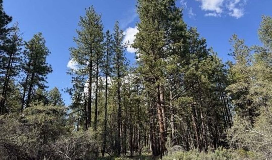 Thunder Bear Road, Bonanza, OR 97623 - 0 Beds, 0 Bath