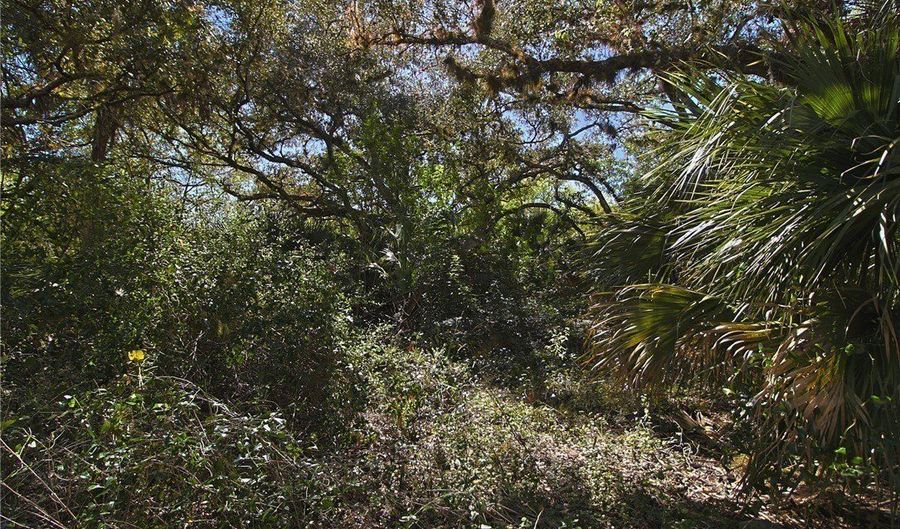 2975 Styles Rd, Alva, FL 33920 - 0 Beds, 0 Bath