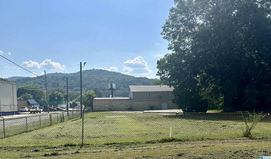 224 S LEIGHTON Ave 1, Anniston, AL 36207 - 0 Beds, 0 Bath
