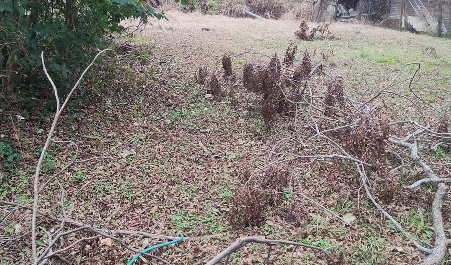 Summerland Avenue, Batesburg Leesville, SC 29006 - 0 Beds, 0 Bath