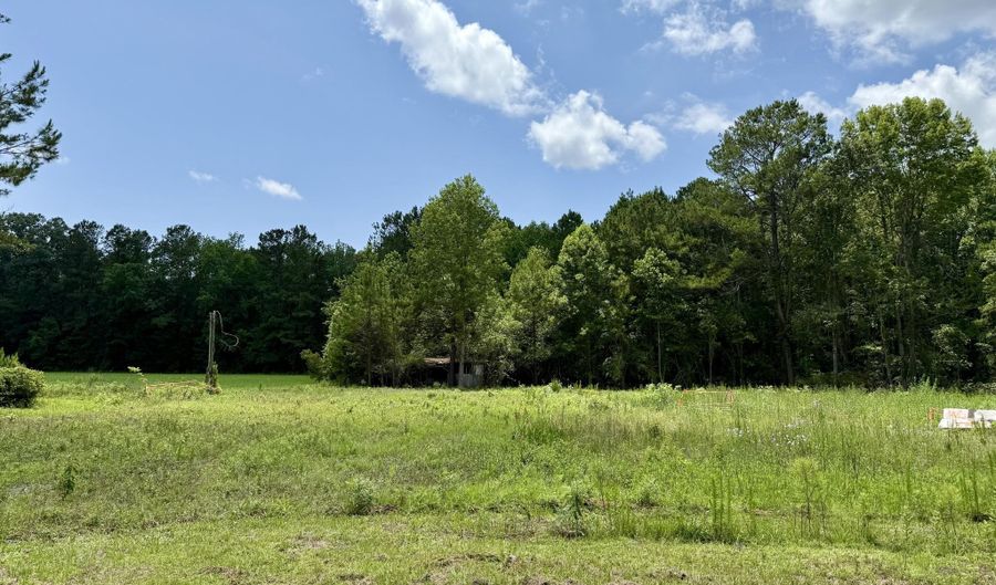 149 Donald Ln, Bonneau, SC 29431 - 0 Beds, 0 Bath