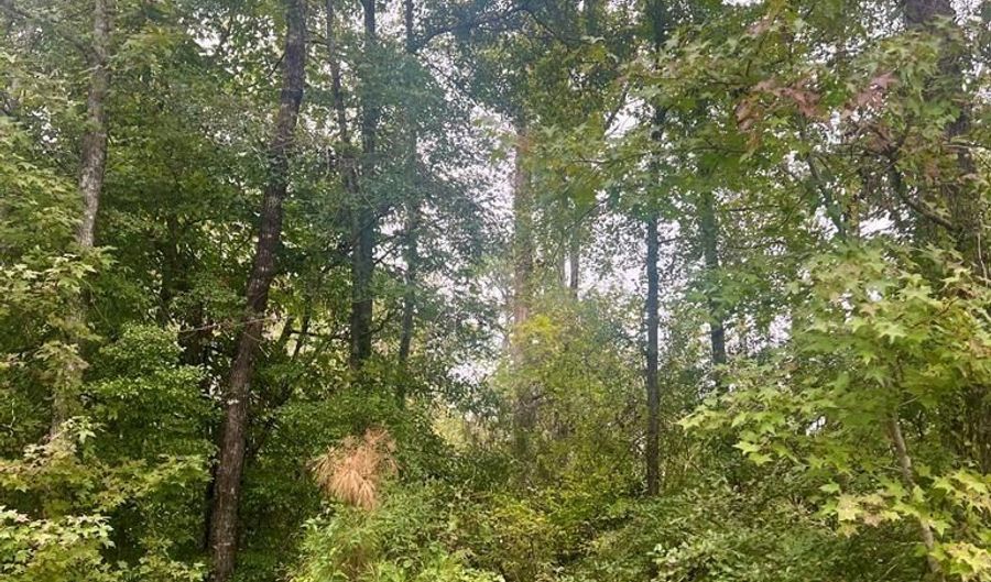 0 Douglas Dr, Abbeville, AL 36310 - 0 Beds, 0 Bath