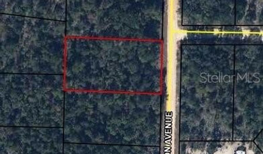 CANYON Avenue, Alford, FL 32420 - 0 Beds, 0 Bath