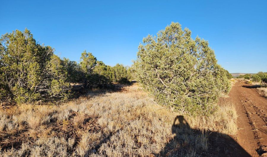 3405 W Pinto Dr, Ash Fork, AZ 86320 - 0 Beds, 0 Bath