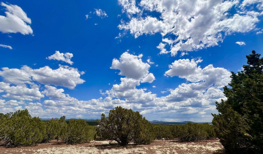 Tbd County Rd N8157, Concho, AZ 85924 - 0 Beds, 0 Bath