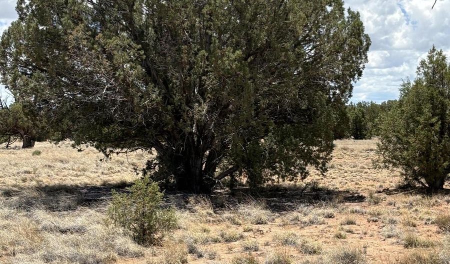 17 Pine Dr, Concho, AZ 85924 - 0 Beds, 0 Bath