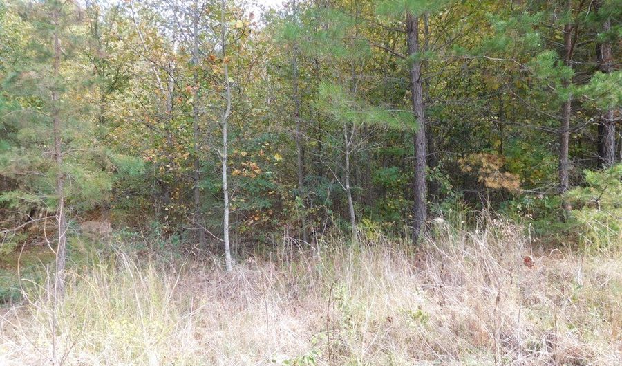 TBD Lyman Drive, Blacksburg, SC 29702 - 0 Beds, 0 Bath