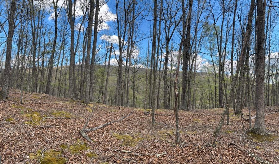 5 COVE Crk, Baker, WV 26801 - 0 Beds, 0 Bath