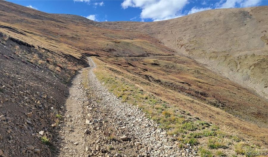 Ms # 17664- LAST ROSE BARRY LYNDON RORY OMORE - 66.66%, Alma, CO 80420 - 0 Beds, 0 Bath