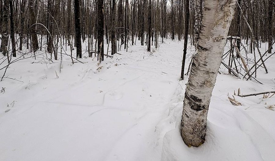 606 Log Lodge Rd, Winter, WI 54896 - 0 Beds, 0 Bath