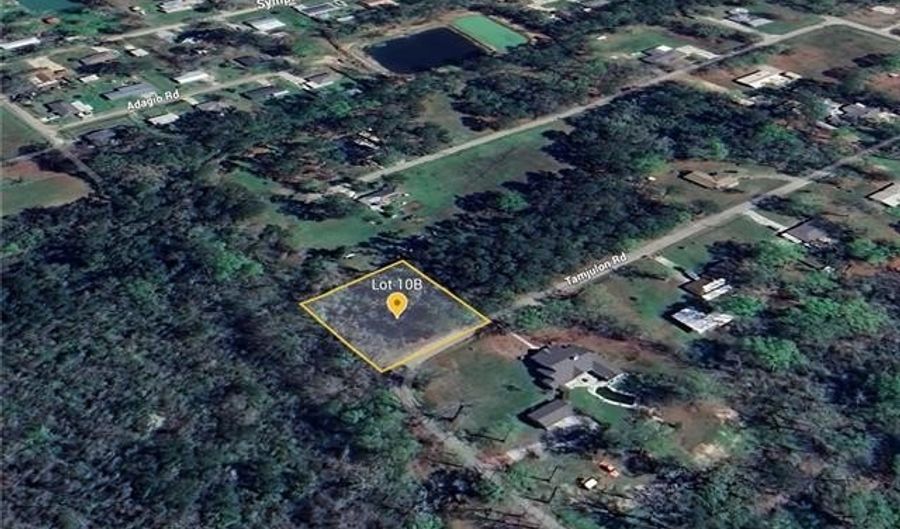 Lot 10B TAMJULON Road, Albany, LA 70711 - 0 Beds, 0 Bath
