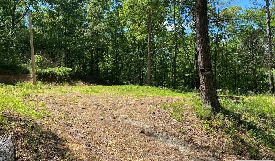 31 Catfish Dr, Big Sandy, TN 38221 - 0 Beds, 0 Bath